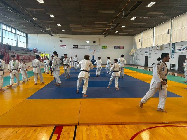 Stages & compétitions